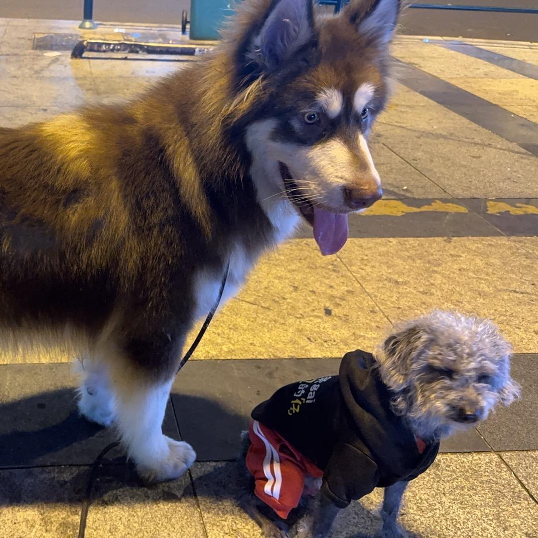 小乖一点都不乖