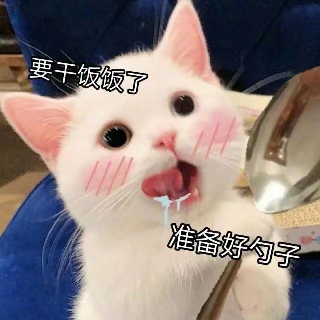 爱美食的包子君