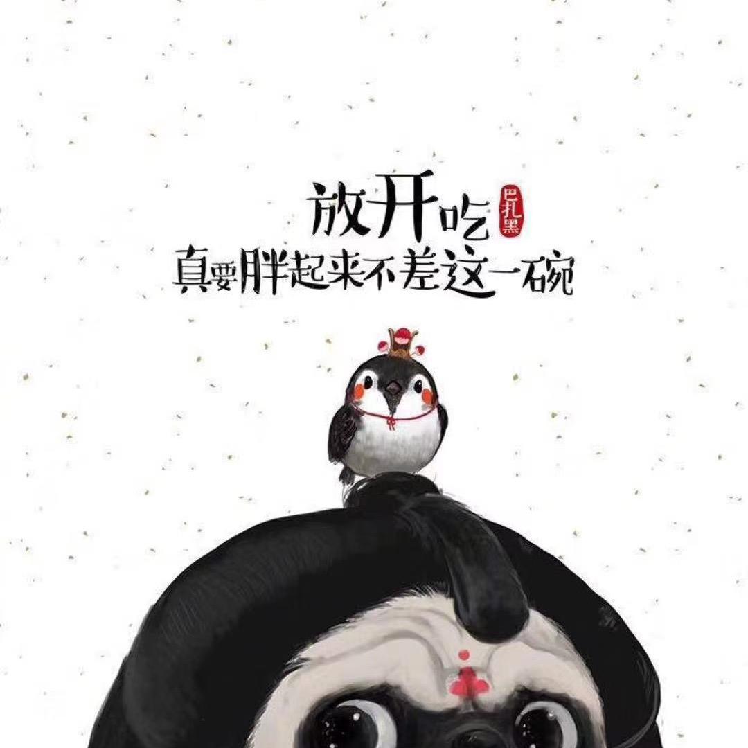 风的追求