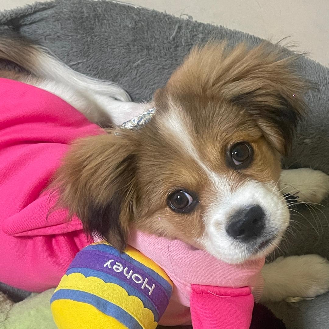 需要海鲜可以找我