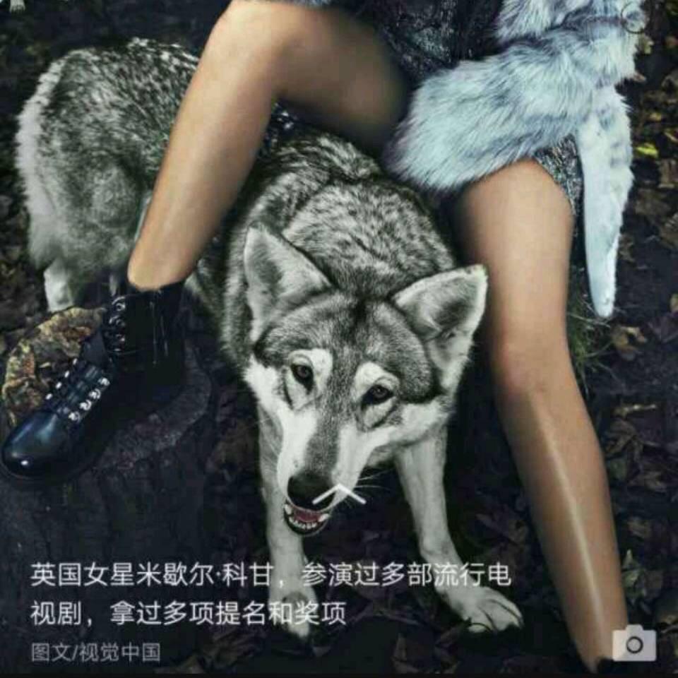 ╰→卋罖ヤ;【请勿连赞】