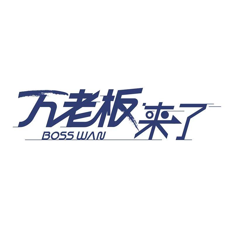 万老板来了好车衣