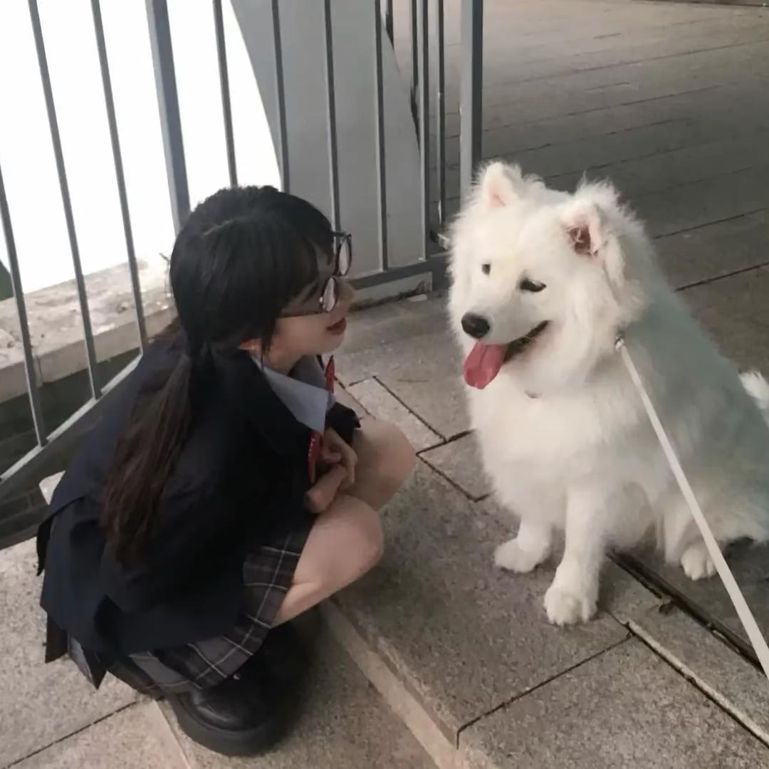 锁 锁🫧