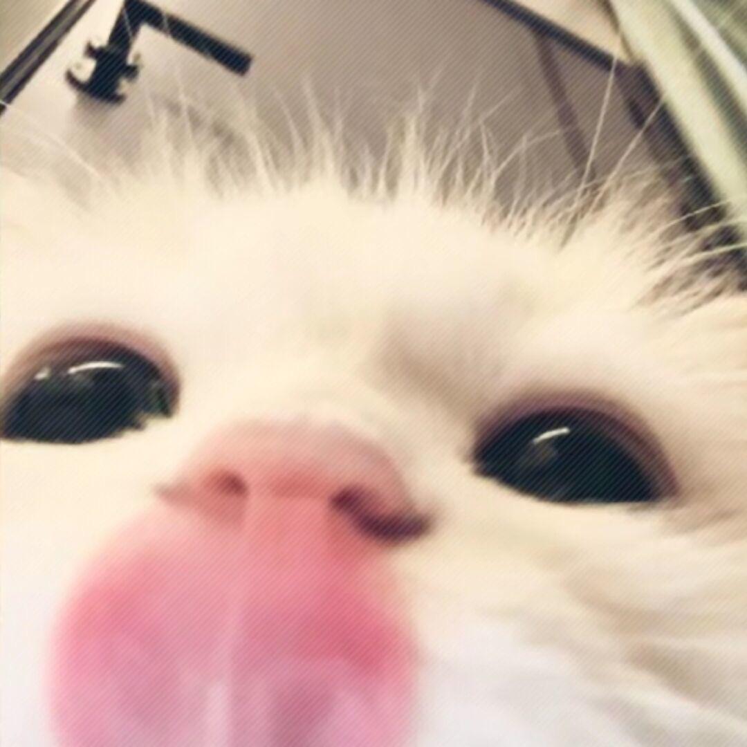 臭臭