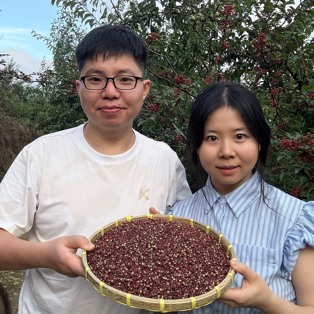 龙娃子汉源花椒
