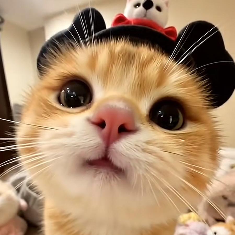 729