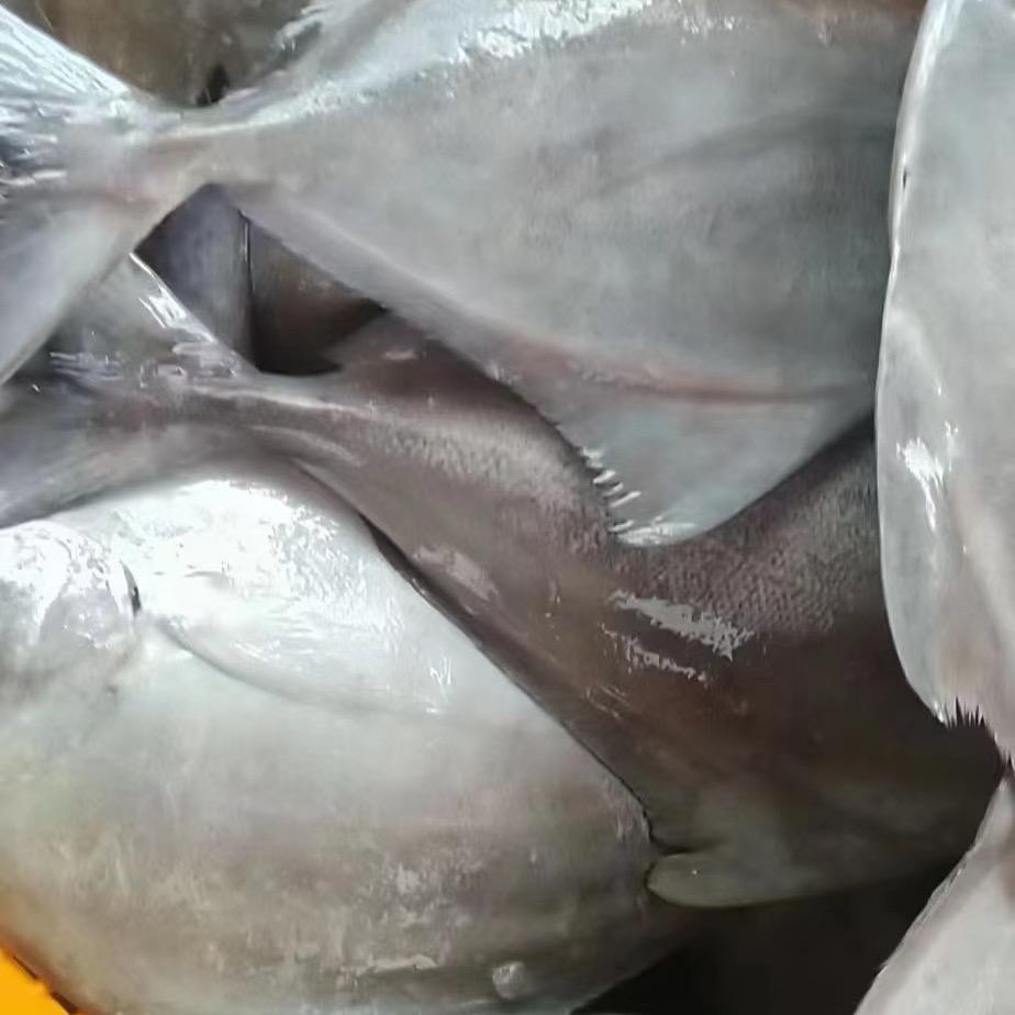海鲜拍卖     二手鱼船卖