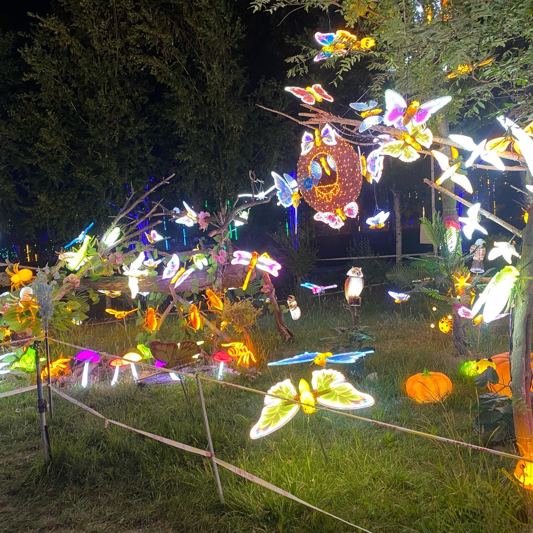 皮芽子绊蒜