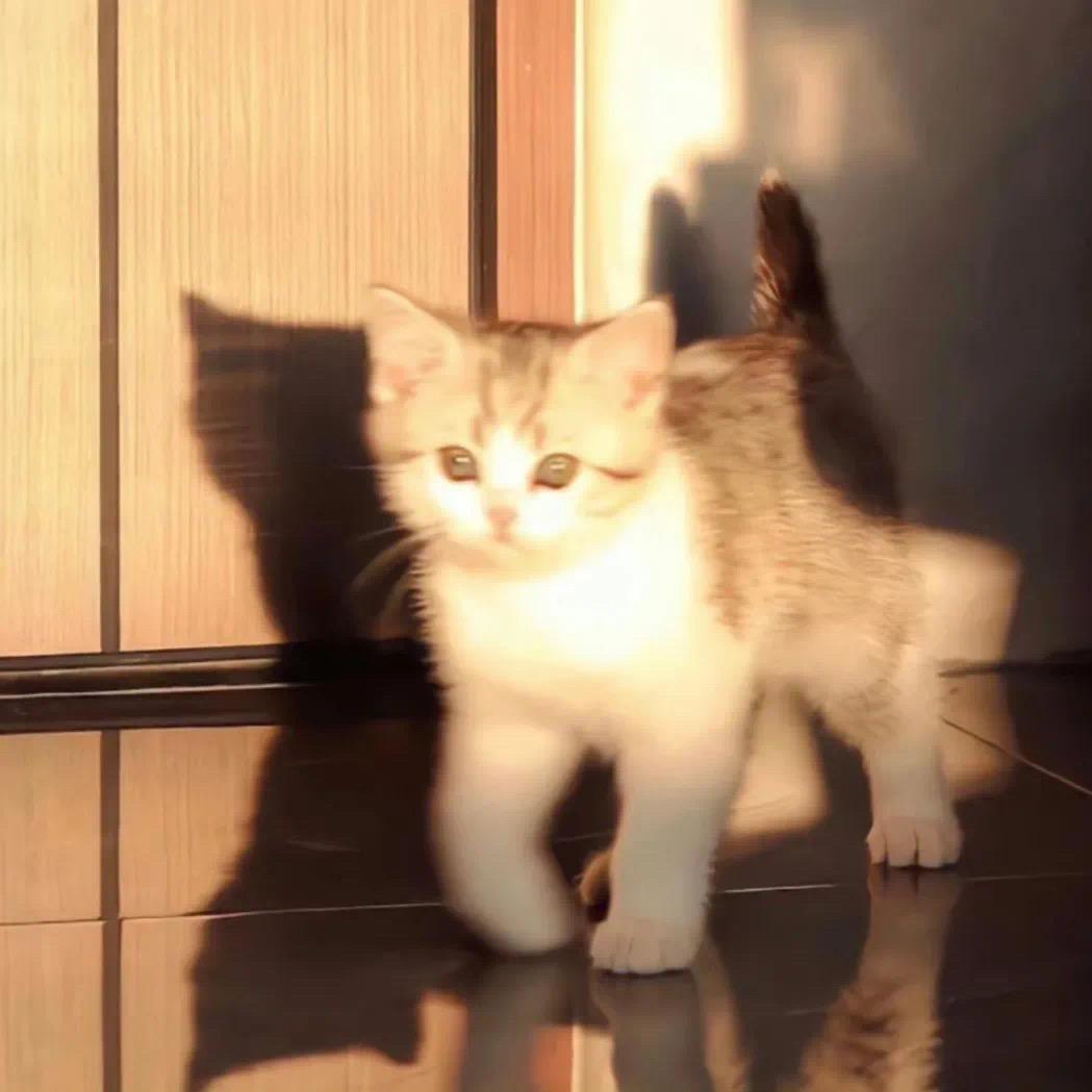 ᵕ᷄≀ ̠˘᷅