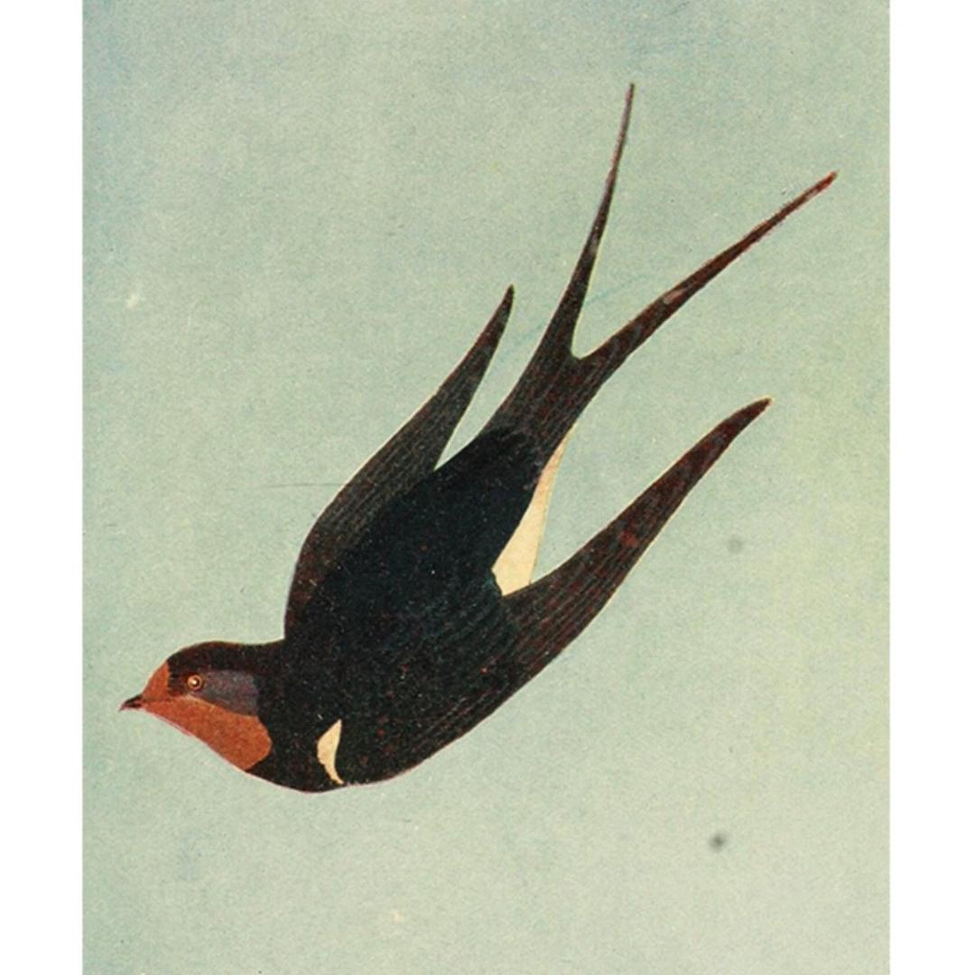 物物而不物与物