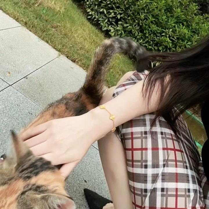 法儿✨