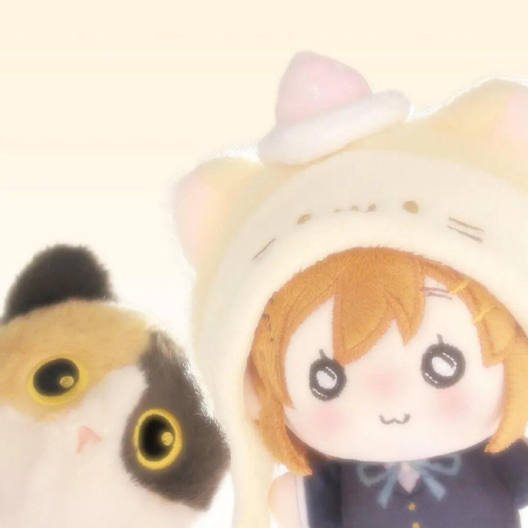 椰斯