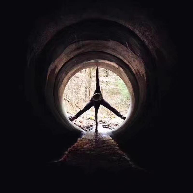 臻