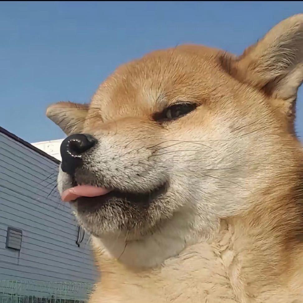 唐公馆夜场领队（宁波）