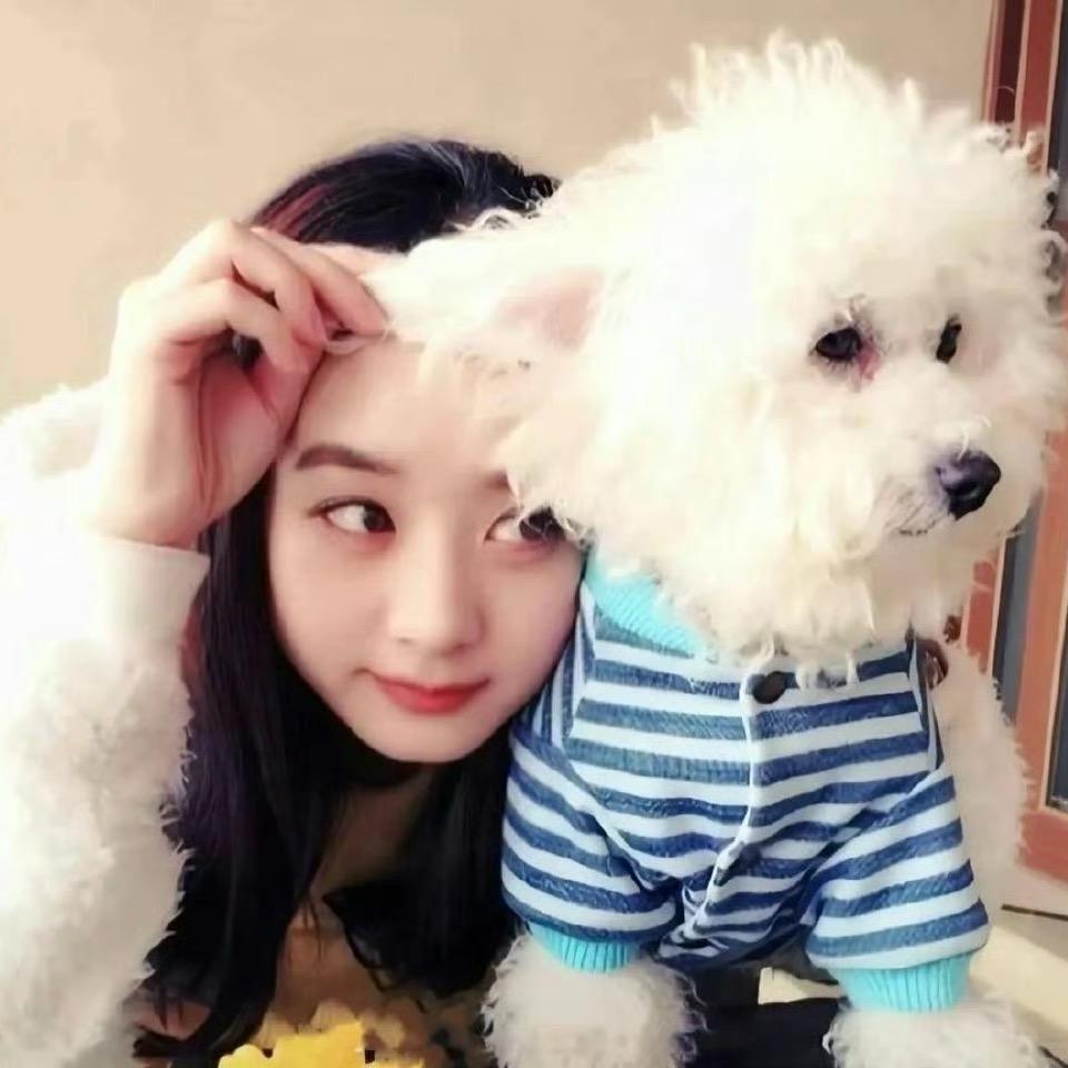 发生了什么树