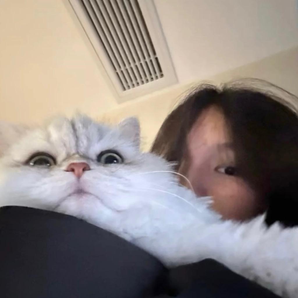 吃不吃螺蛳粉