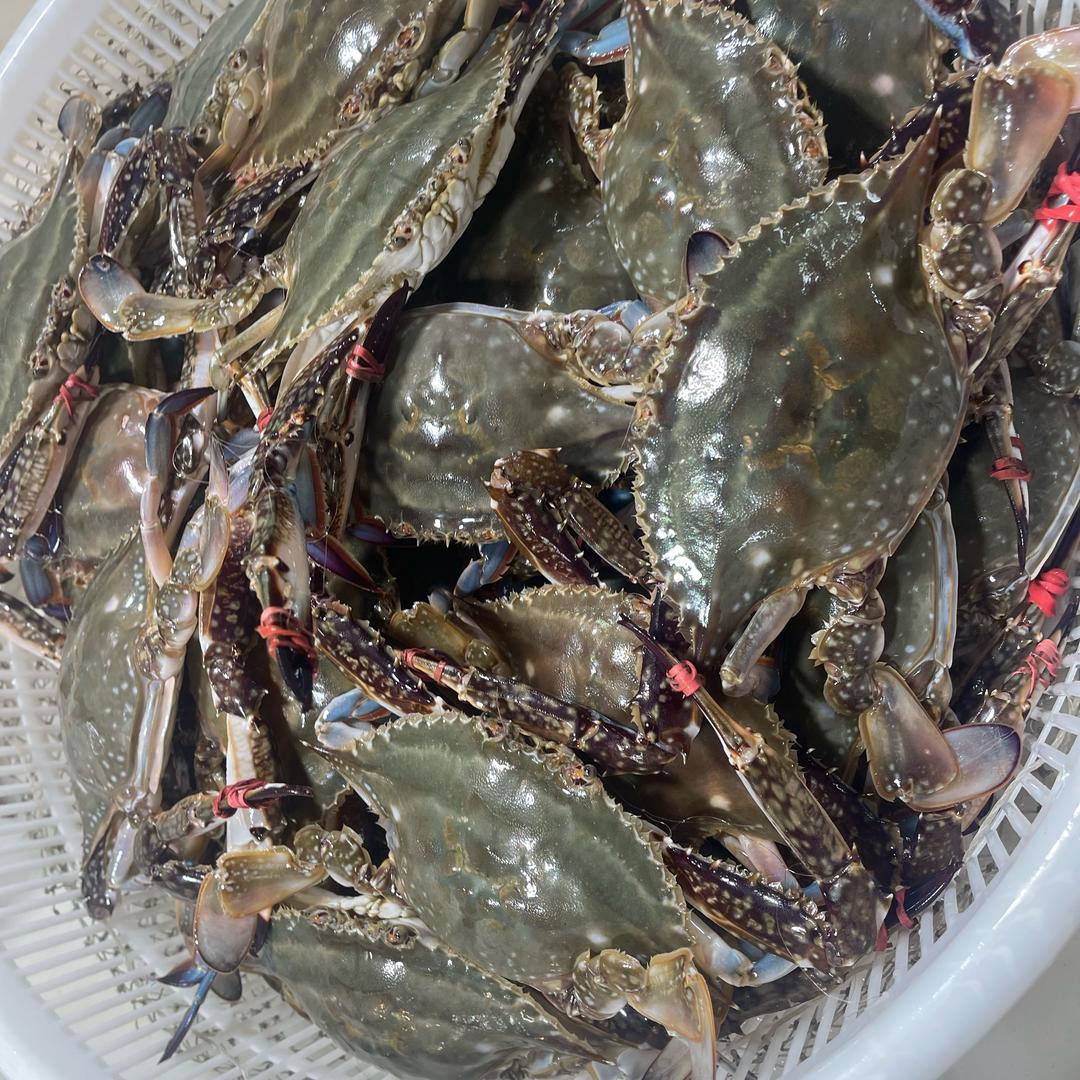 李基瑞大连鲜活水产优品店