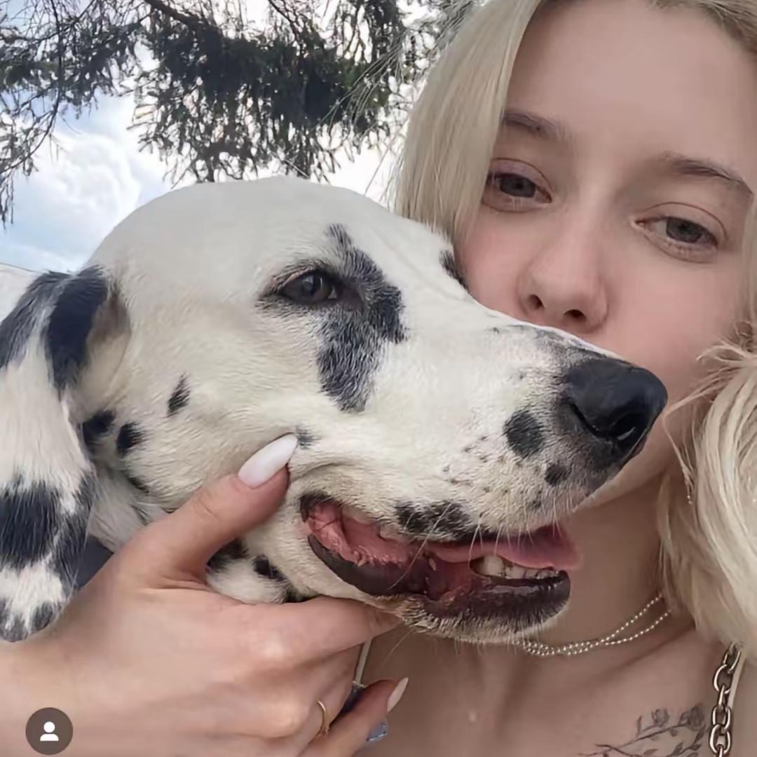 赫赫麻麻（收徒）