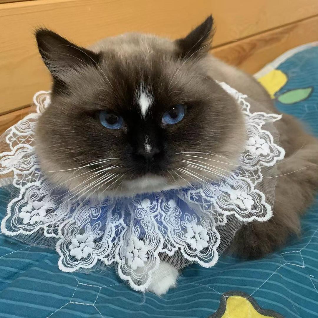 人民大舞台·安稳