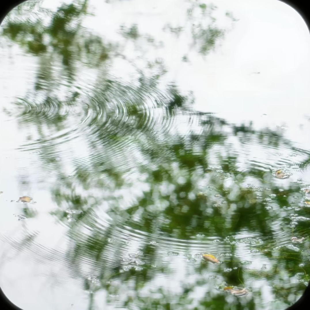 只能够在漫长岁月中慢慢释怀.