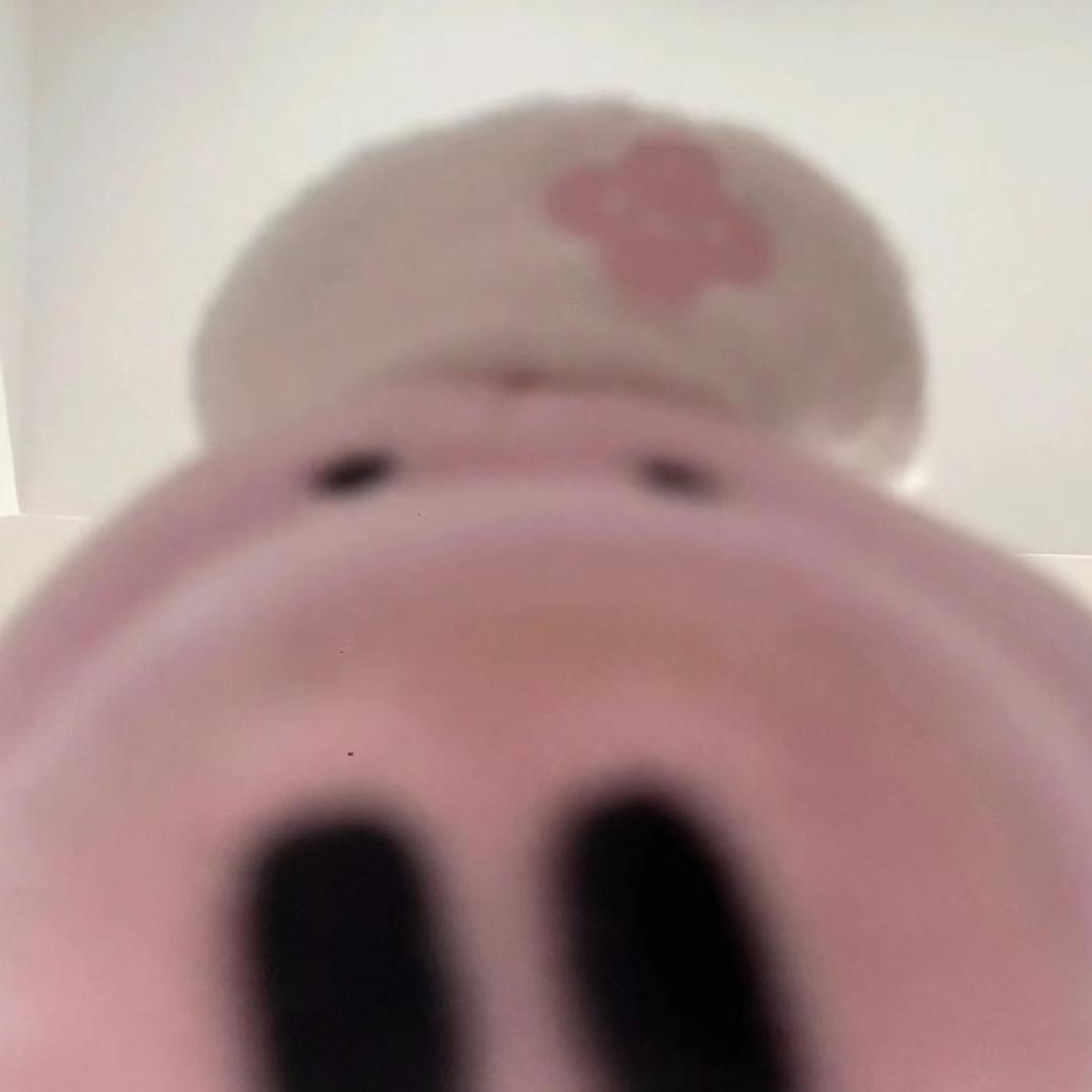 葱崽