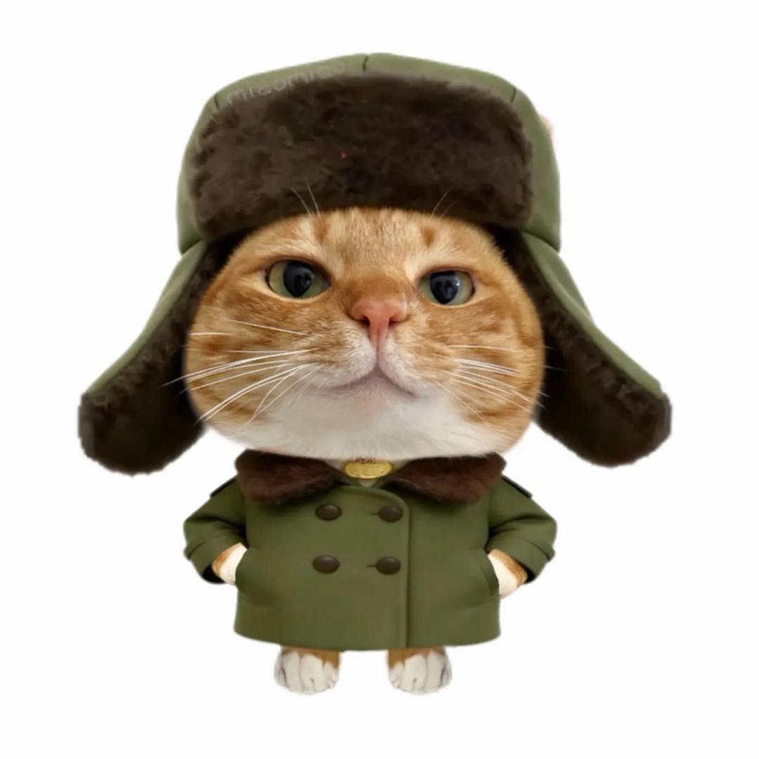 AAAAA东北农村佬