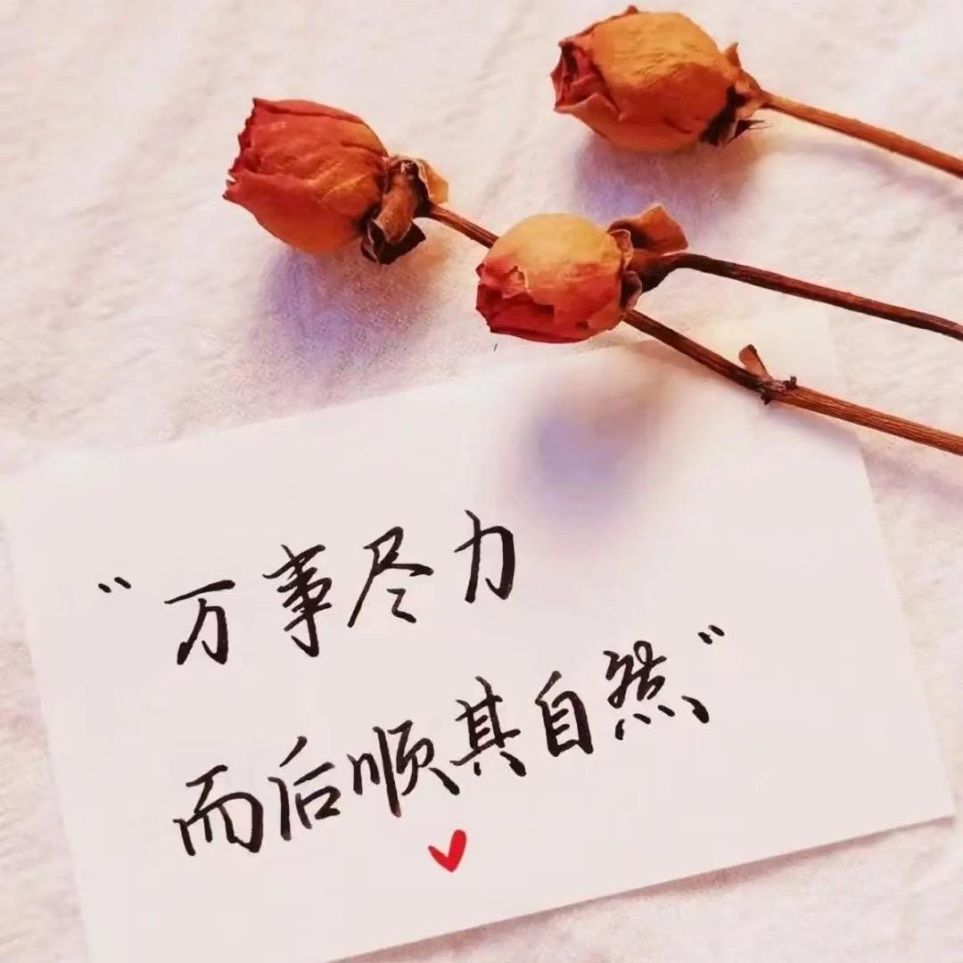 😁你我😘小可爱