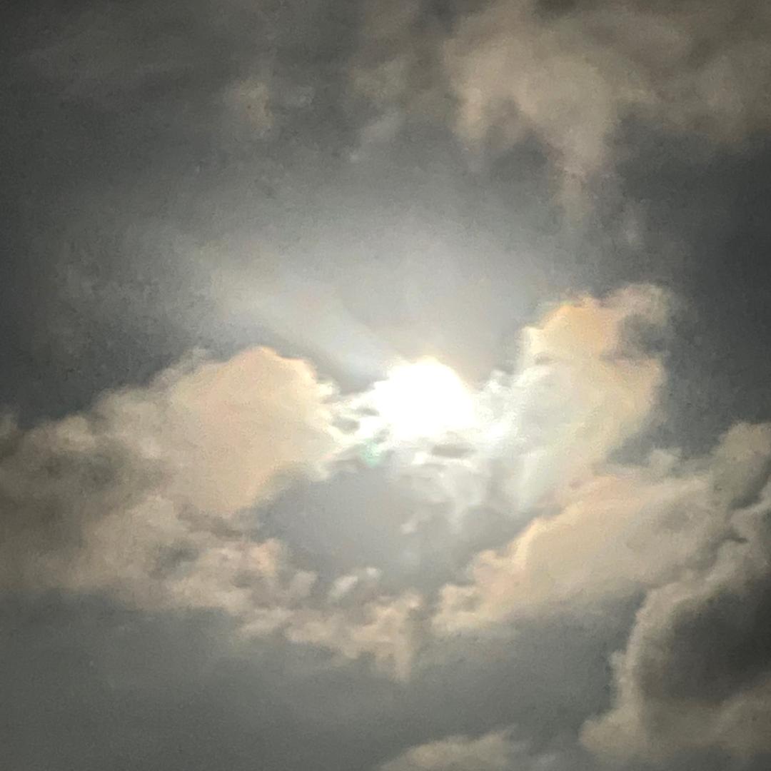 暴躁大王（不忘初心）@抖音