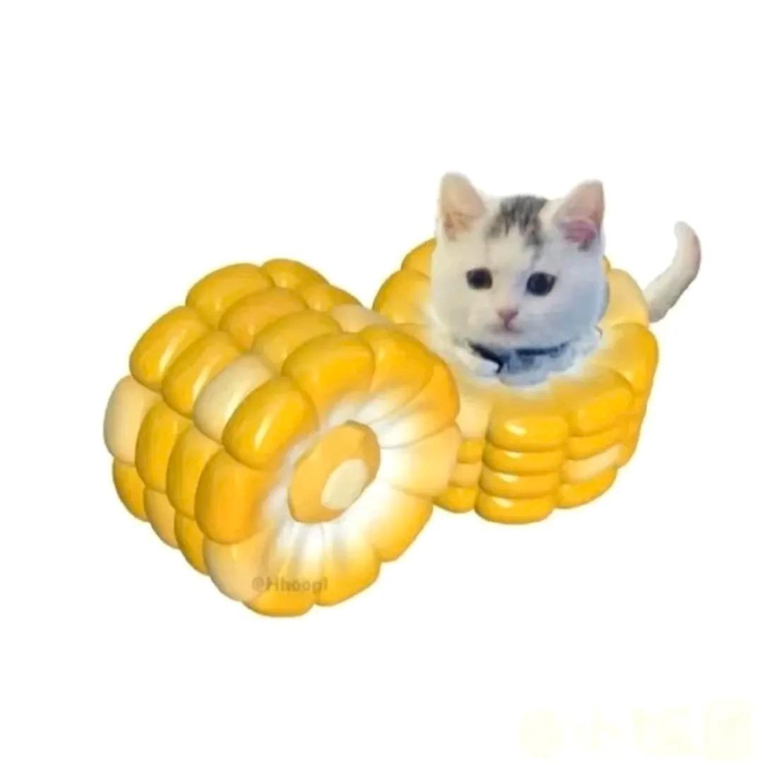 雨天中的丛林之王