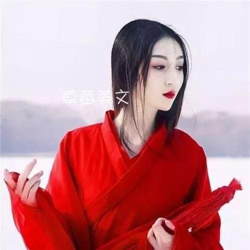 念雪归尘