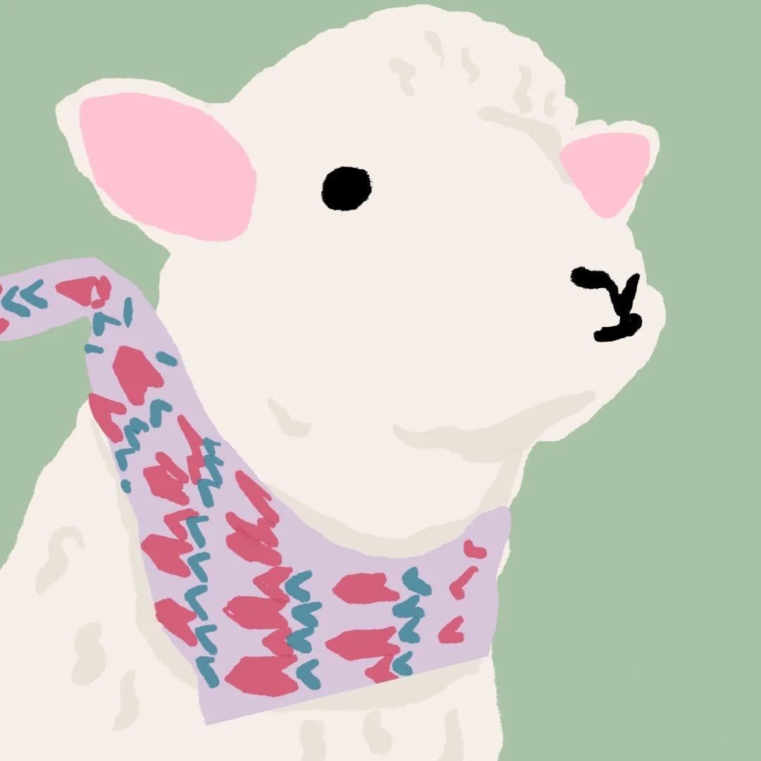 小羊这里有什么