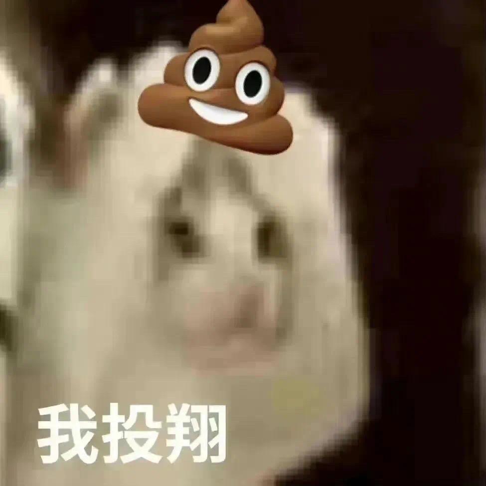 我投翔💩