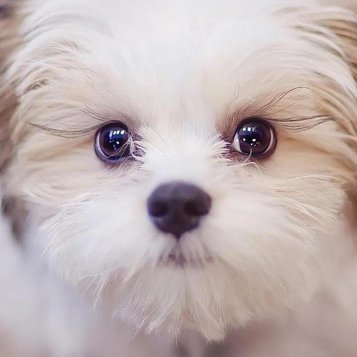 ❤️好物❤️分享