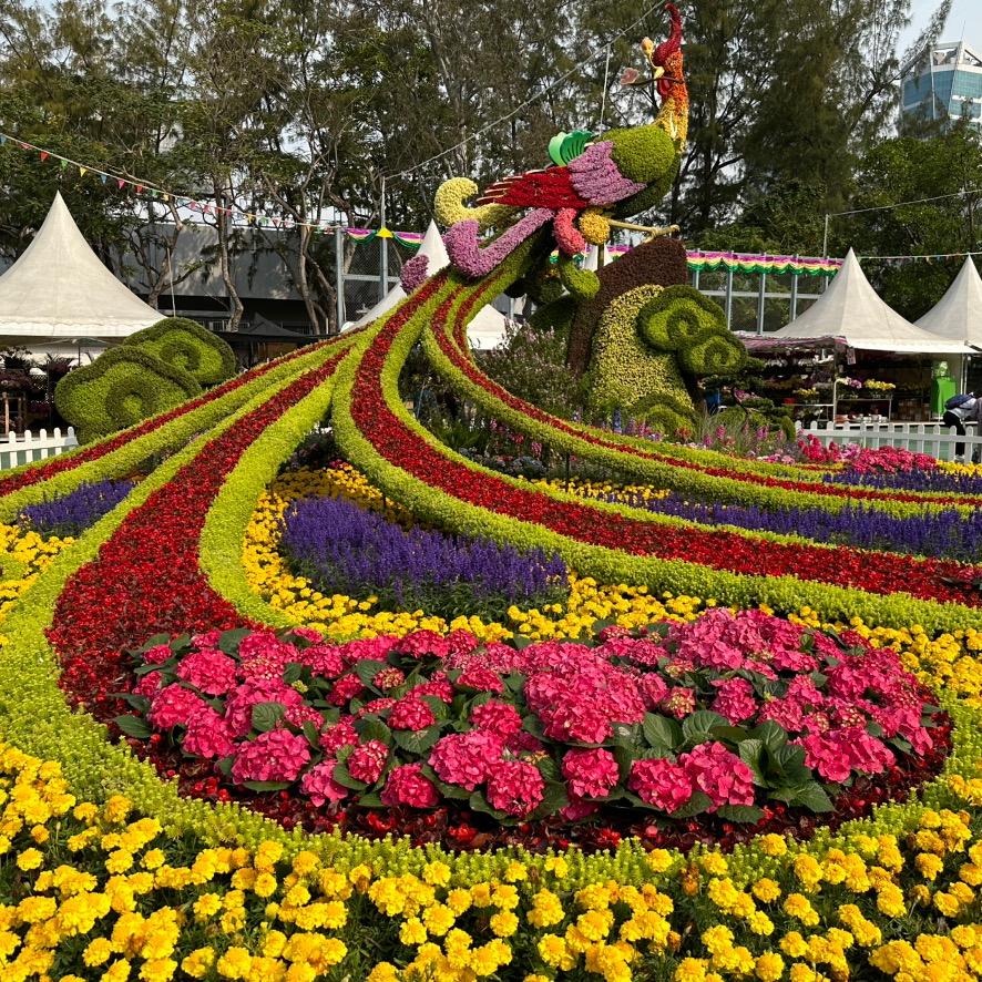 @屏♡o。.(✿ฺ。✿ฺ)💋