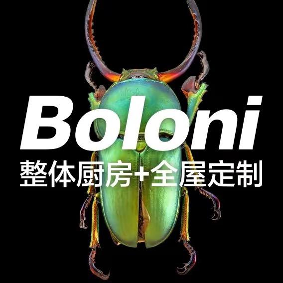 秦皇岛博洛尼全屋定制