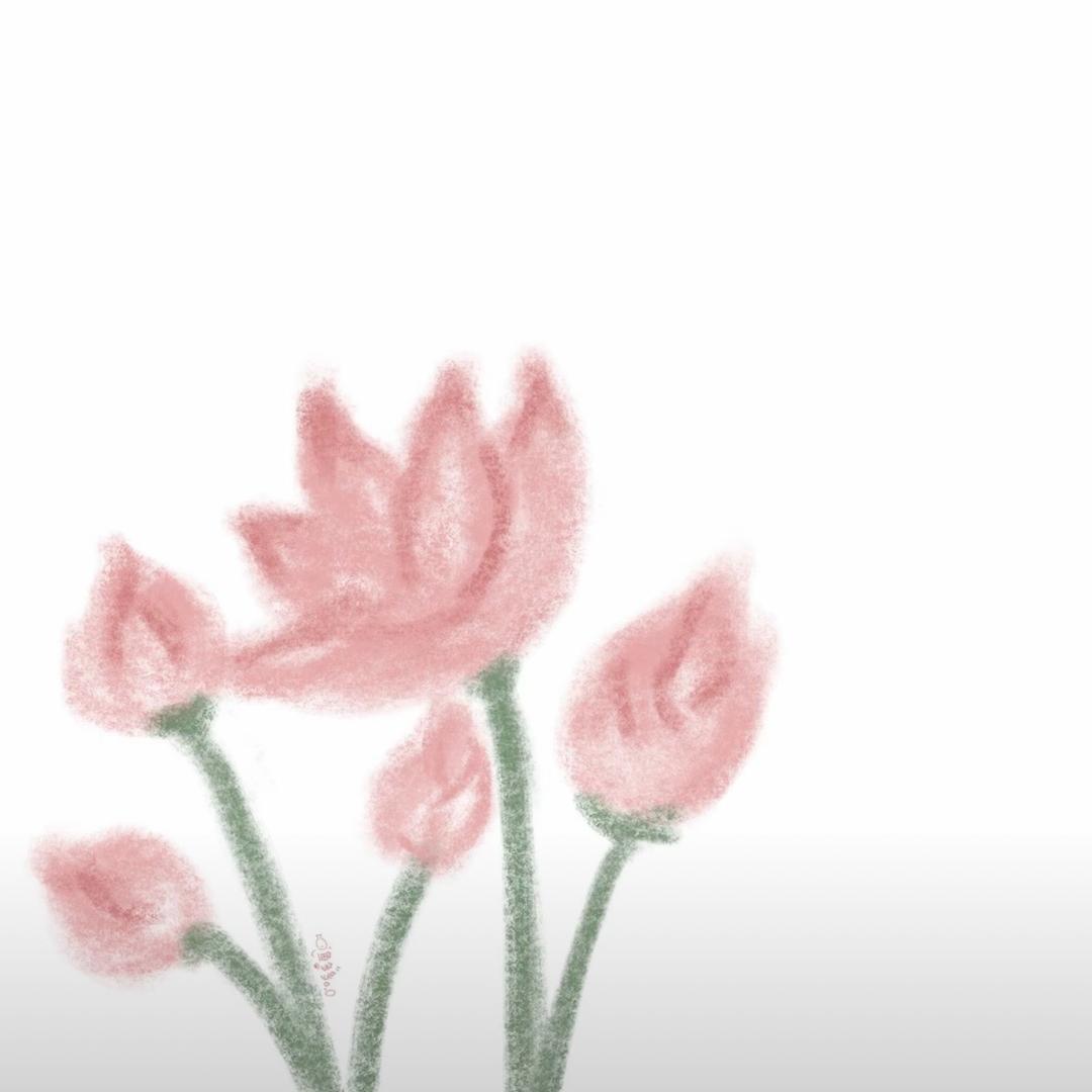 清荷