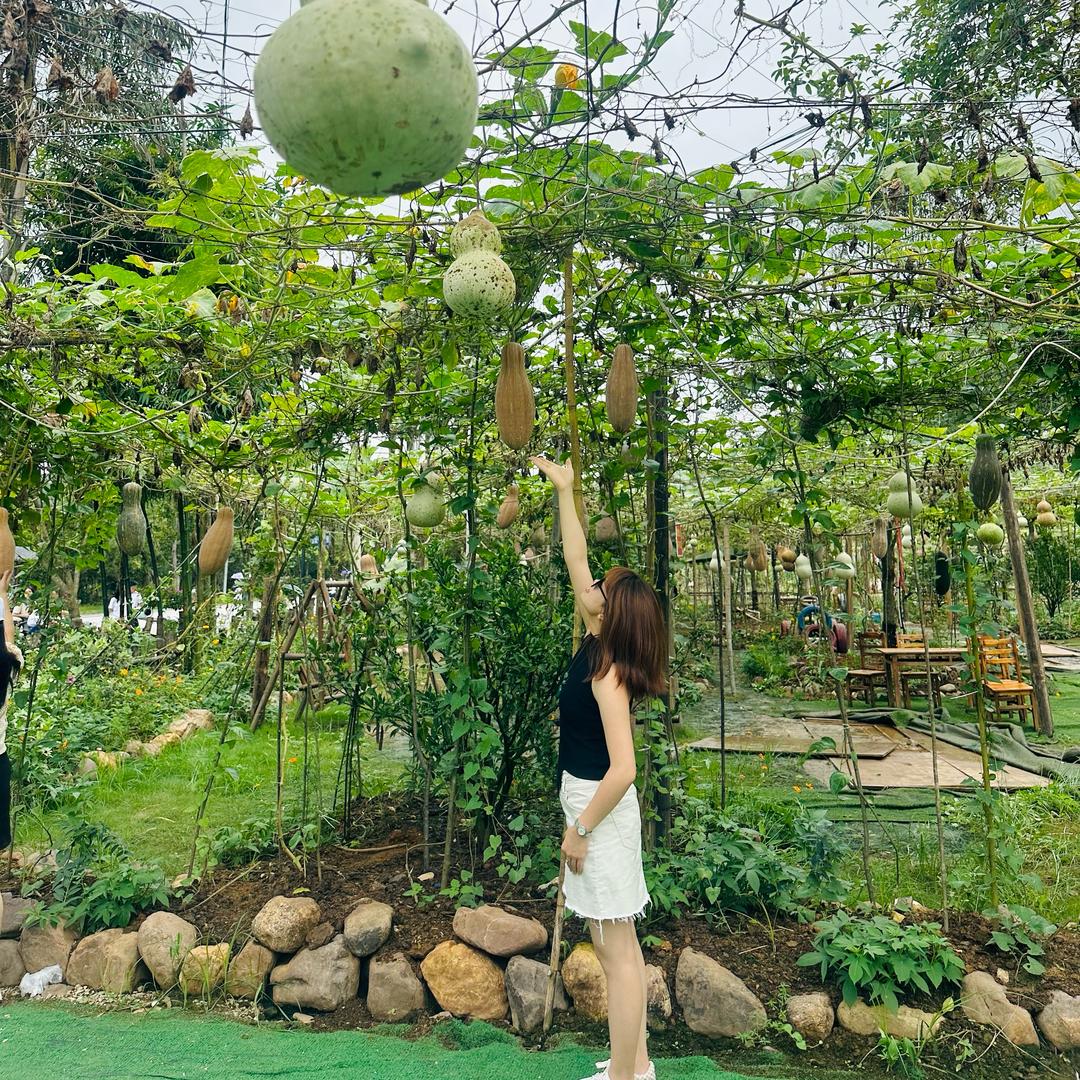 小美M