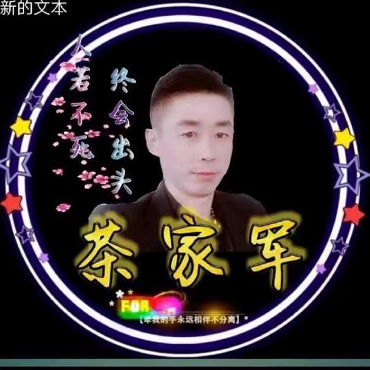 茶罐先生
