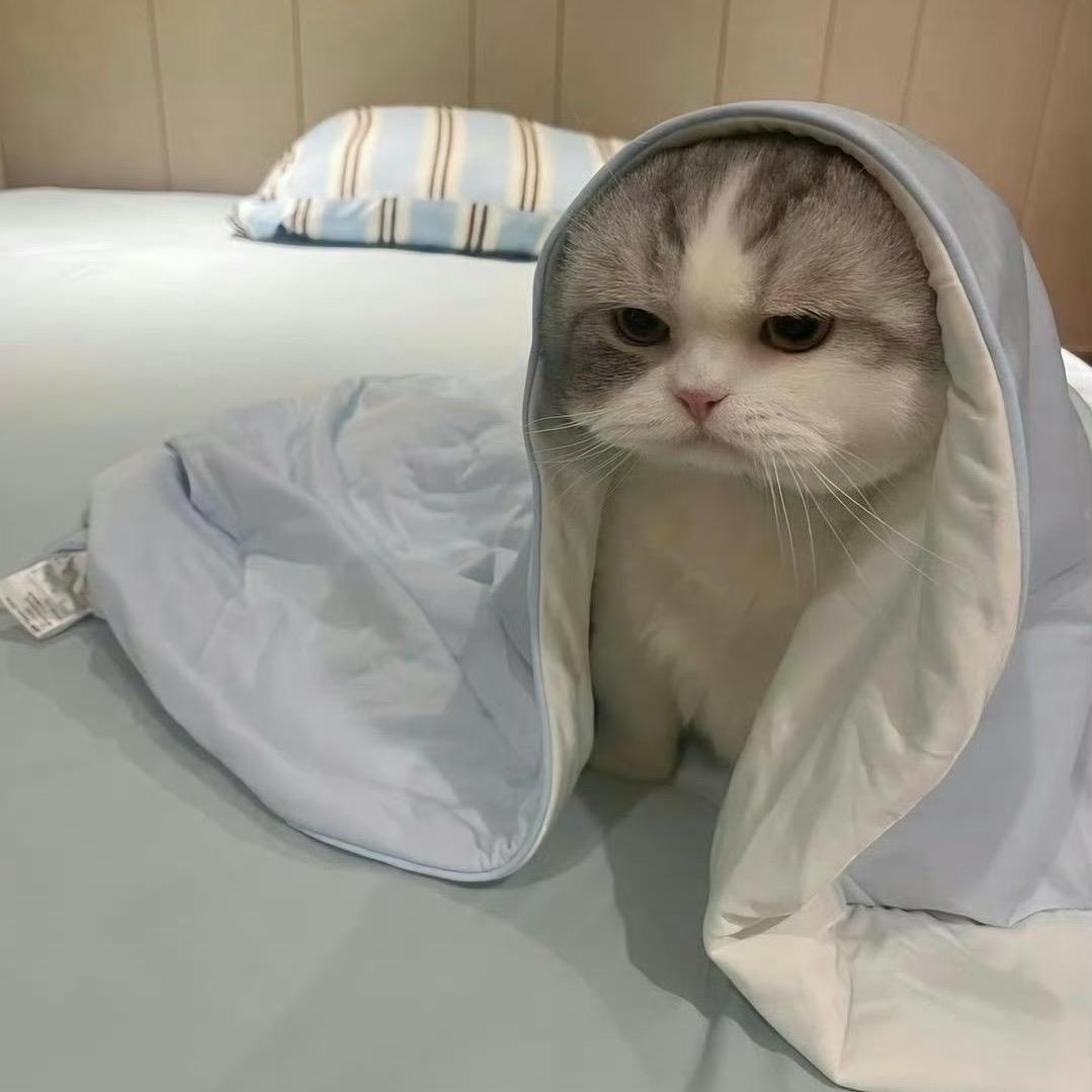 丰台Z继科💤