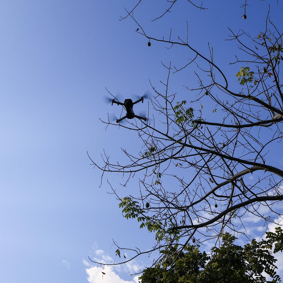 我有一只小毛驴