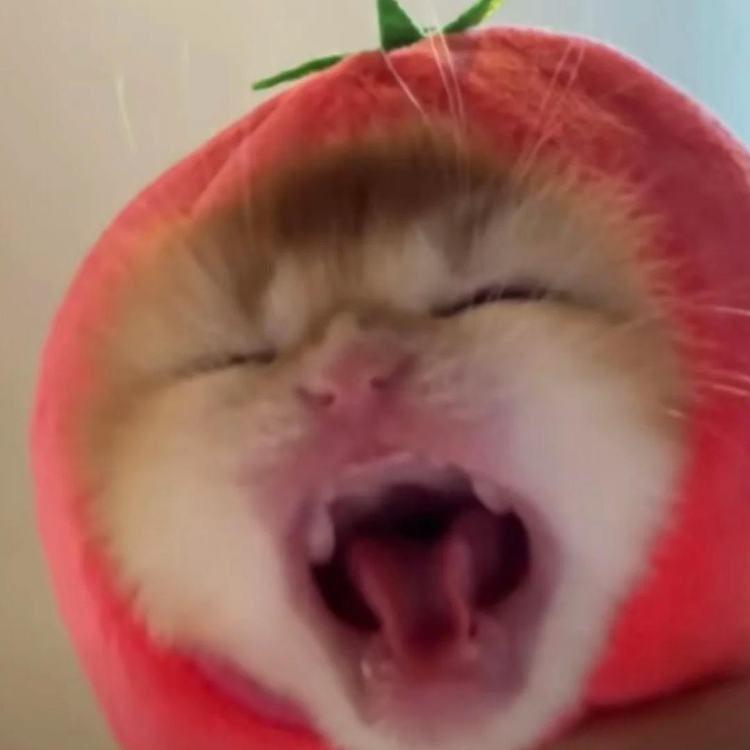 夸奇