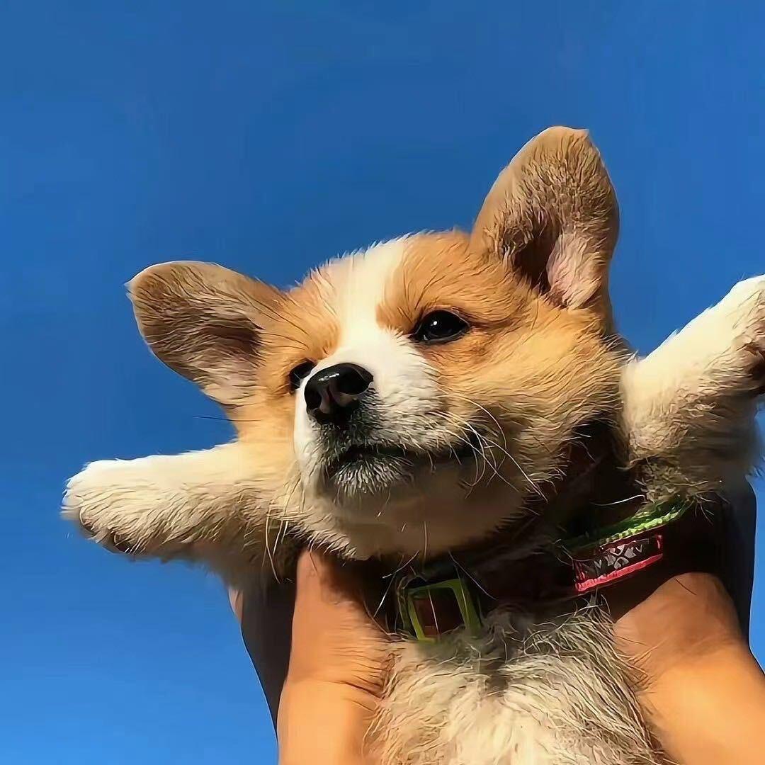 a.
