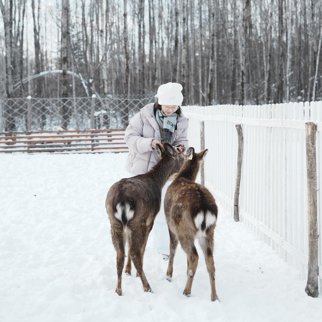 ❄️飘雪❄️ 🌻xy 🌻