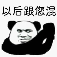 小奶狗