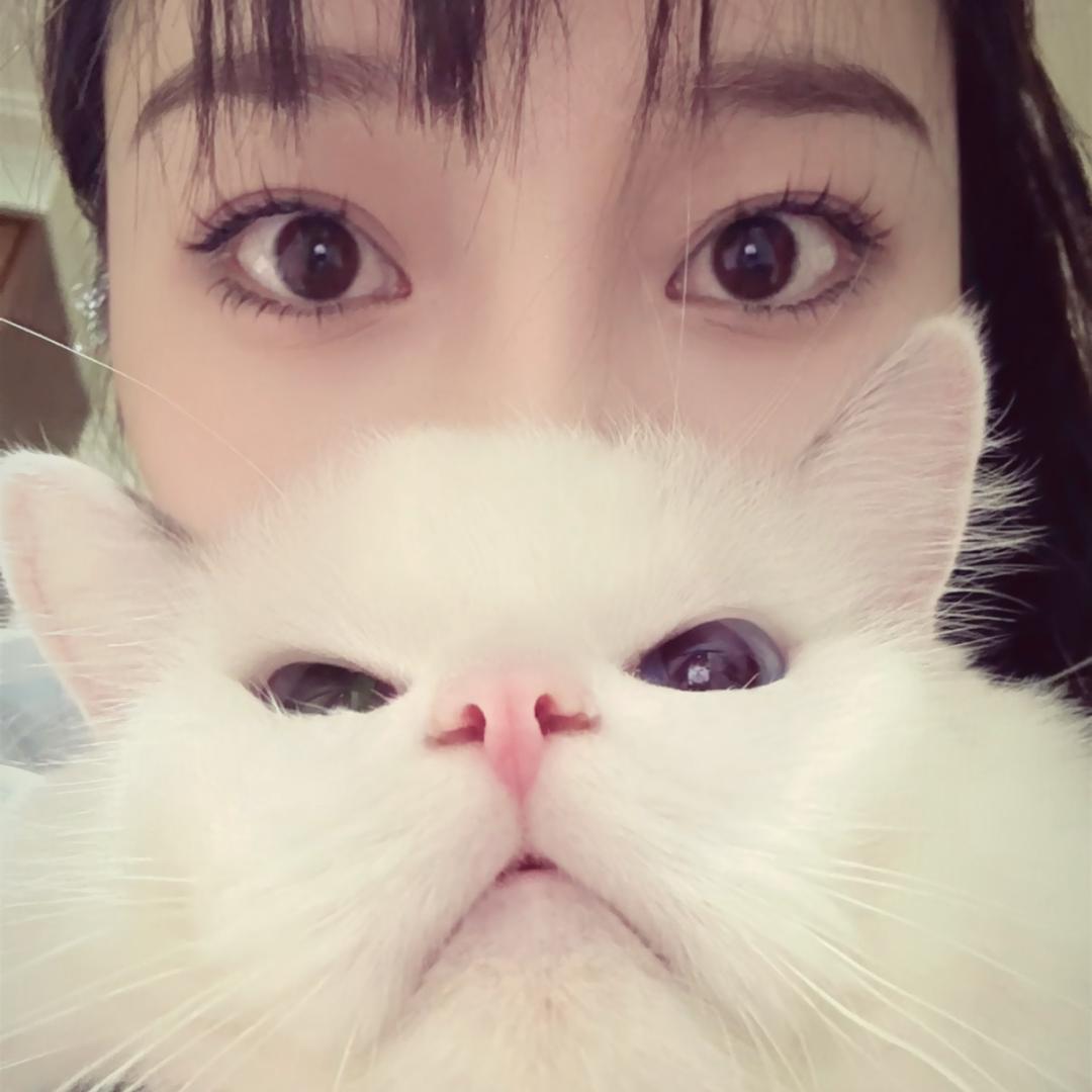 可鑫