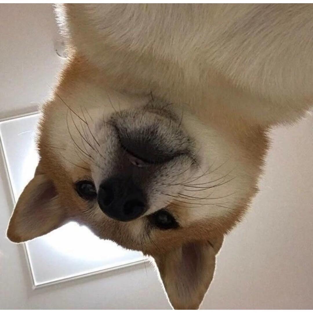 老婆为情人出走的那个雨夜我哭了