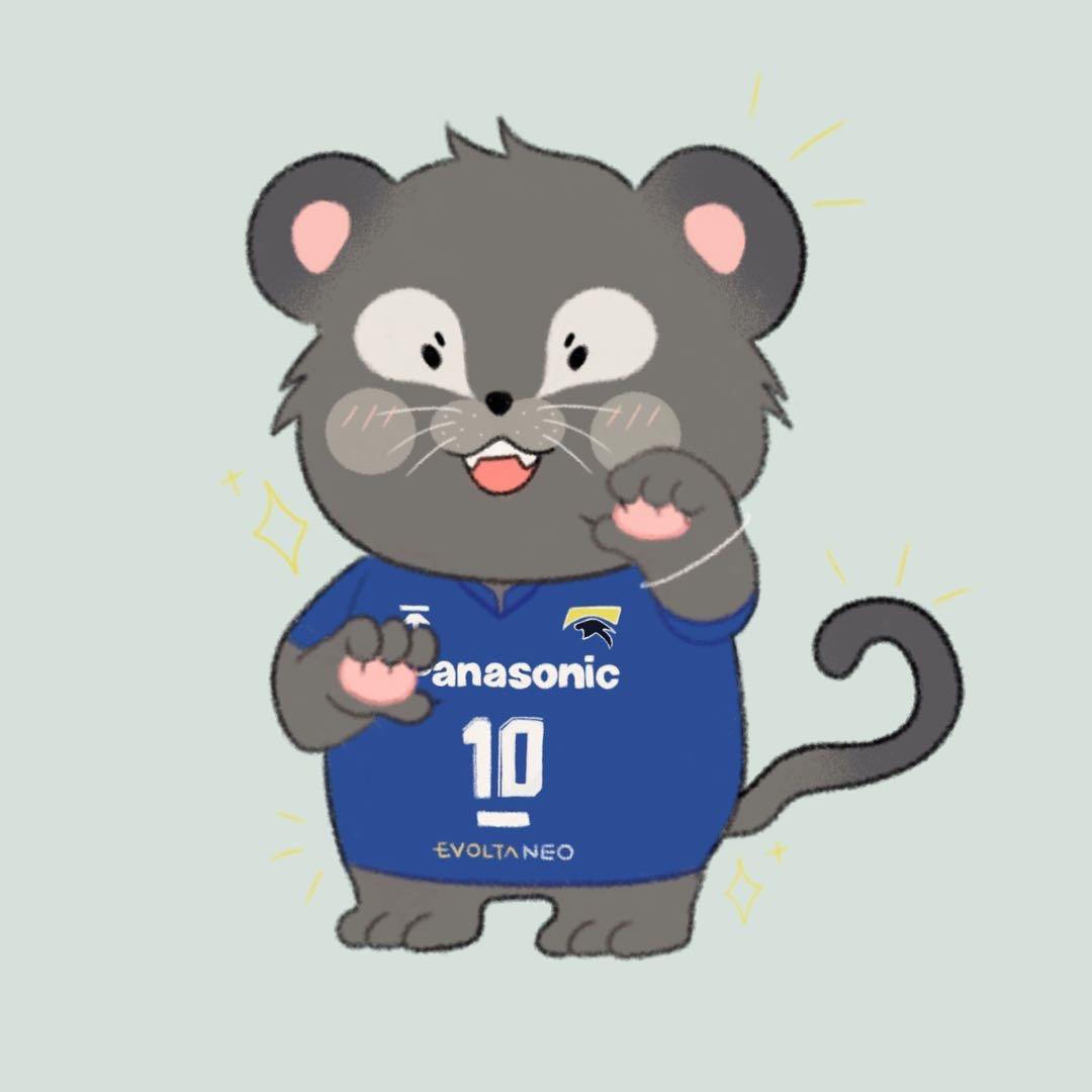 雅猫の纽扣🏐