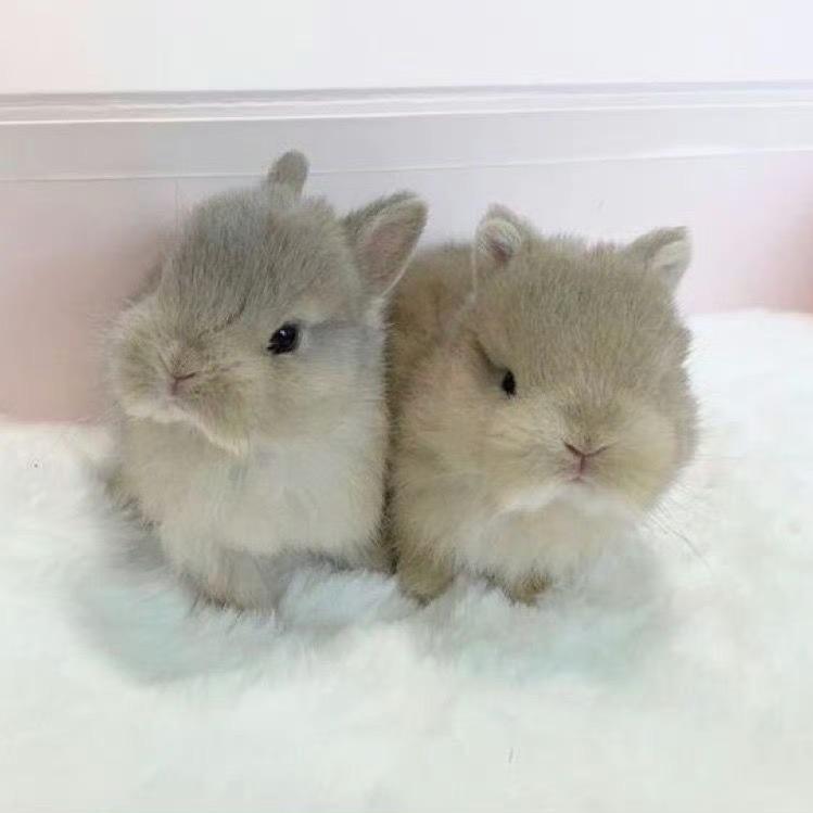 按图指点三千言