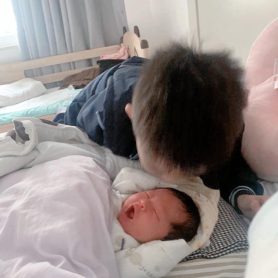 一枚小布丁