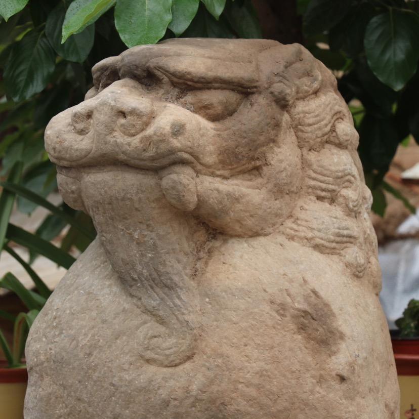 赵尊·尊古典